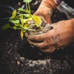 Groen en onderhoud in je omgeving