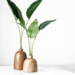 Groen in huis en op kantoor